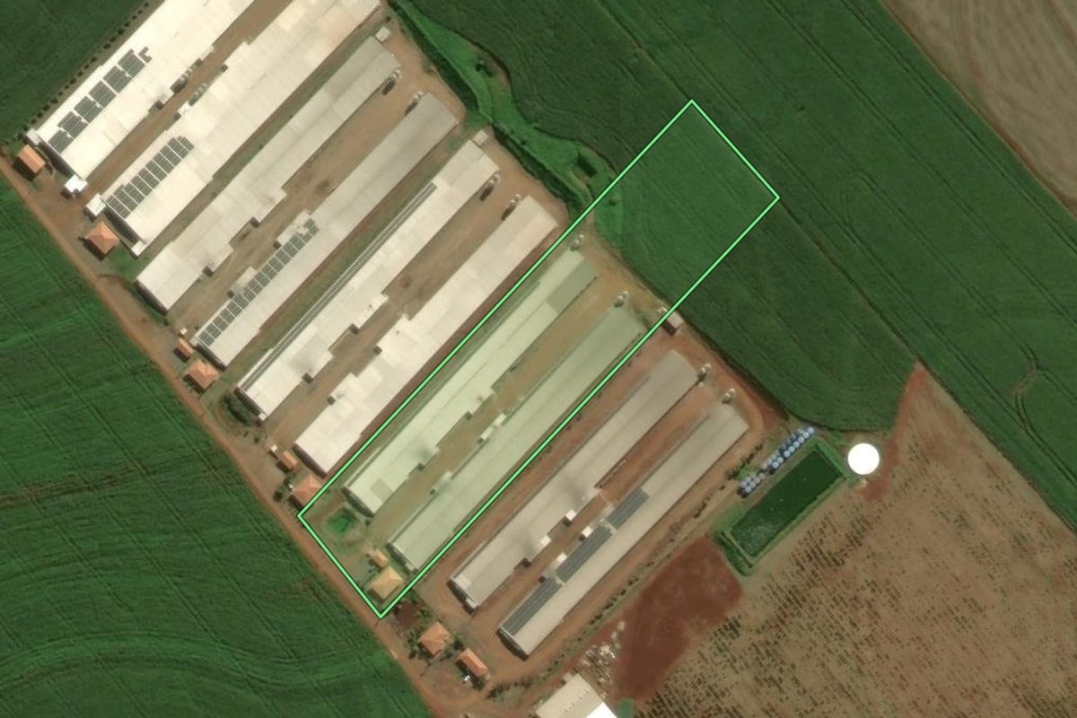 Imagem de satélite do imóvel rural em Marialva (PR), com o contorno declarado no CAR desenhado por cima.