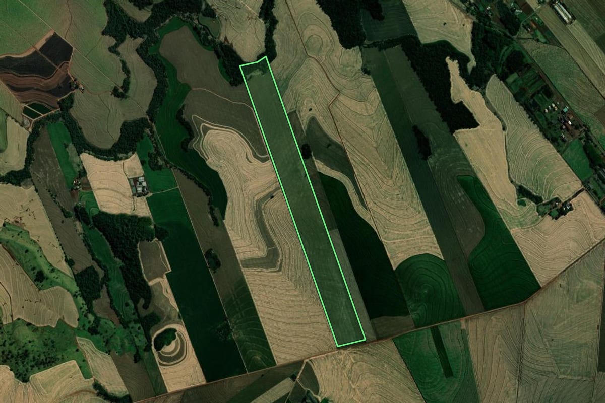 Imagem de satélite do imóvel rural em Marialva (PR), com o contorno declarado no CAR desenhado por cima.