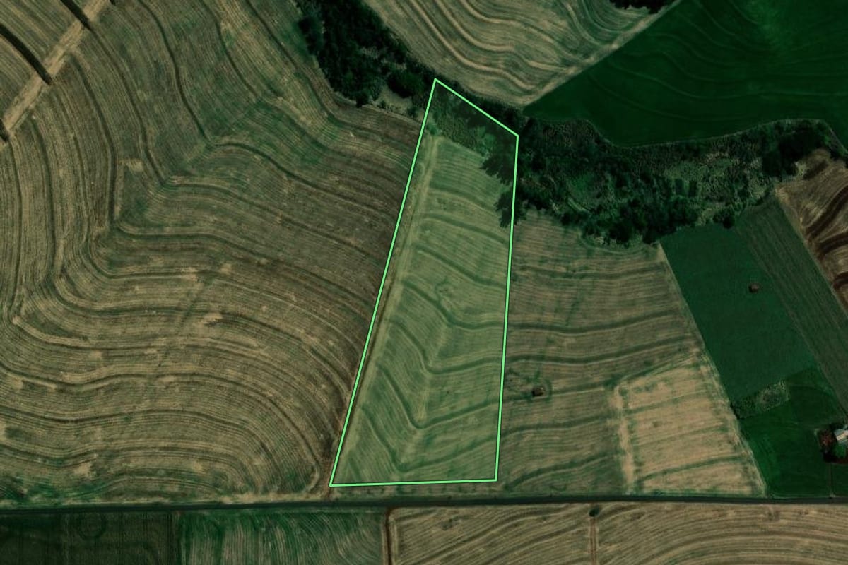 Imagem de satélite do imóvel rural em Marialva (PR), com o contorno declarado no CAR desenhado por cima.