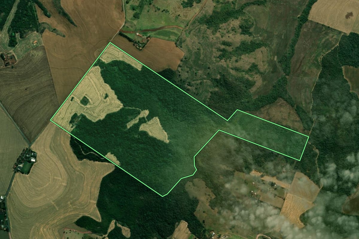 Imagem de satélite do imóvel rural em Marialva (PR), com o contorno declarado no CAR desenhado por cima.