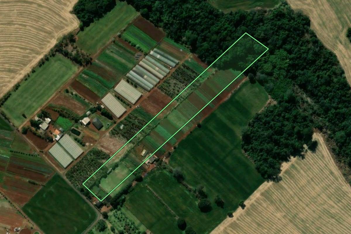 Imagem de satélite do imóvel rural em Marialva (PR), com o contorno declarado no CAR desenhado por cima.