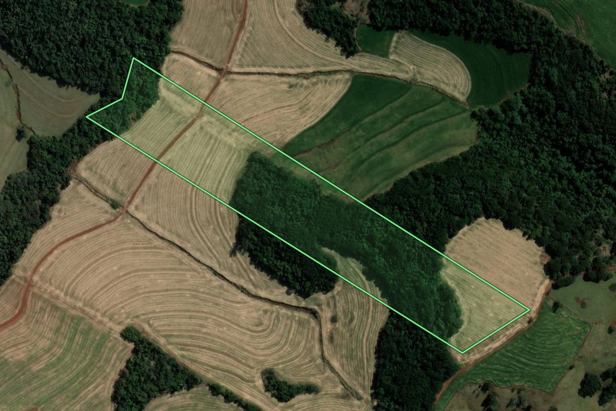 Imagem de satélite do imóvel rural em Marialva (PR), com o contorno declarado no CAR desenhado por cima.