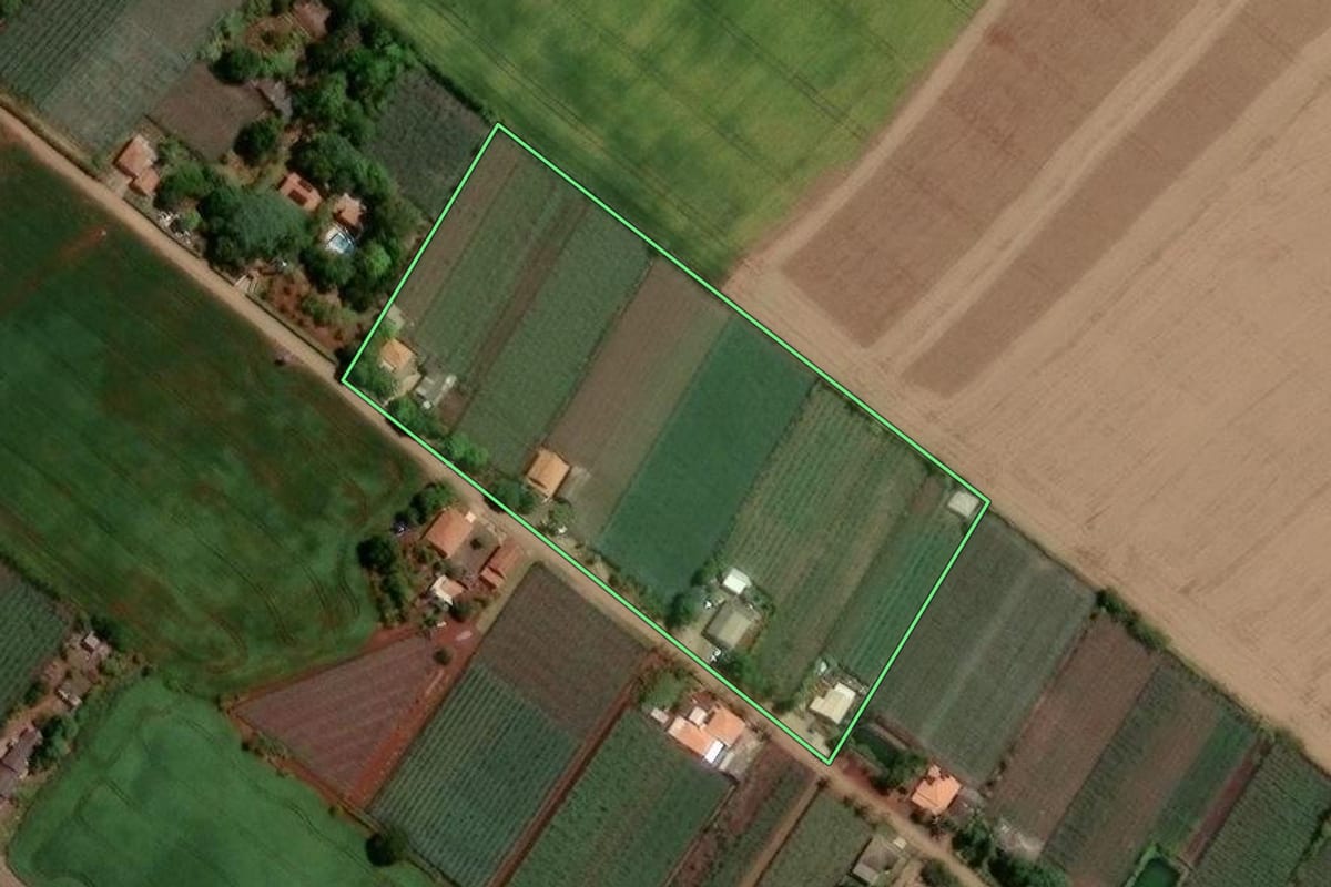 Imagem de satélite do imóvel rural em Marialva (PR), com o contorno declarado no CAR desenhado por cima.
