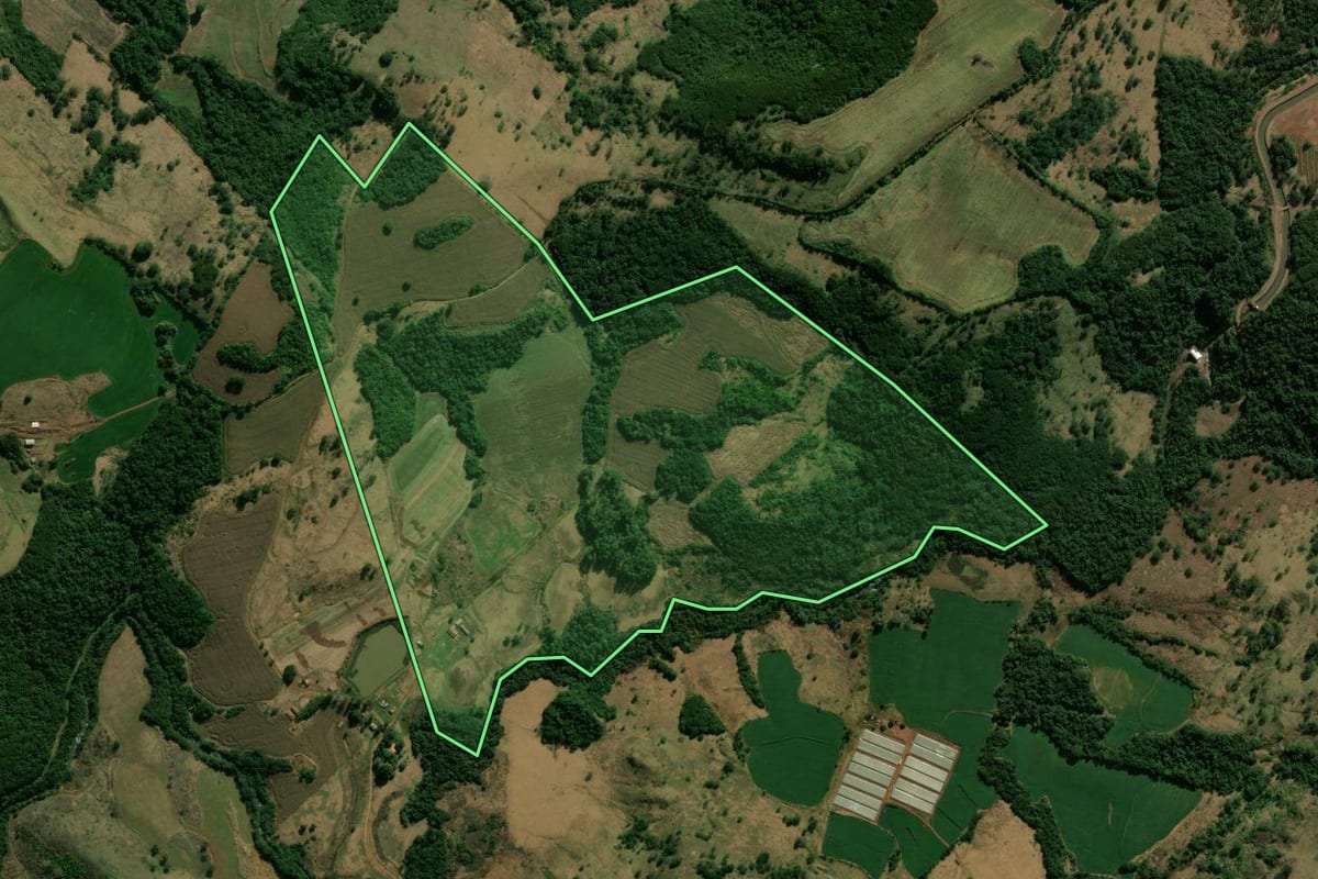 Imagem de satélite do imóvel rural em Marilândia do Sul (PR), com o contorno declarado no CAR desenhado por cima.
