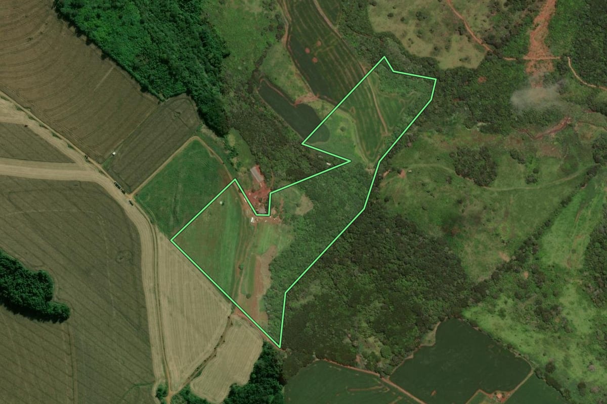 Imagem de satélite do imóvel rural em Marilândia do Sul (PR), com o contorno declarado no CAR desenhado por cima.