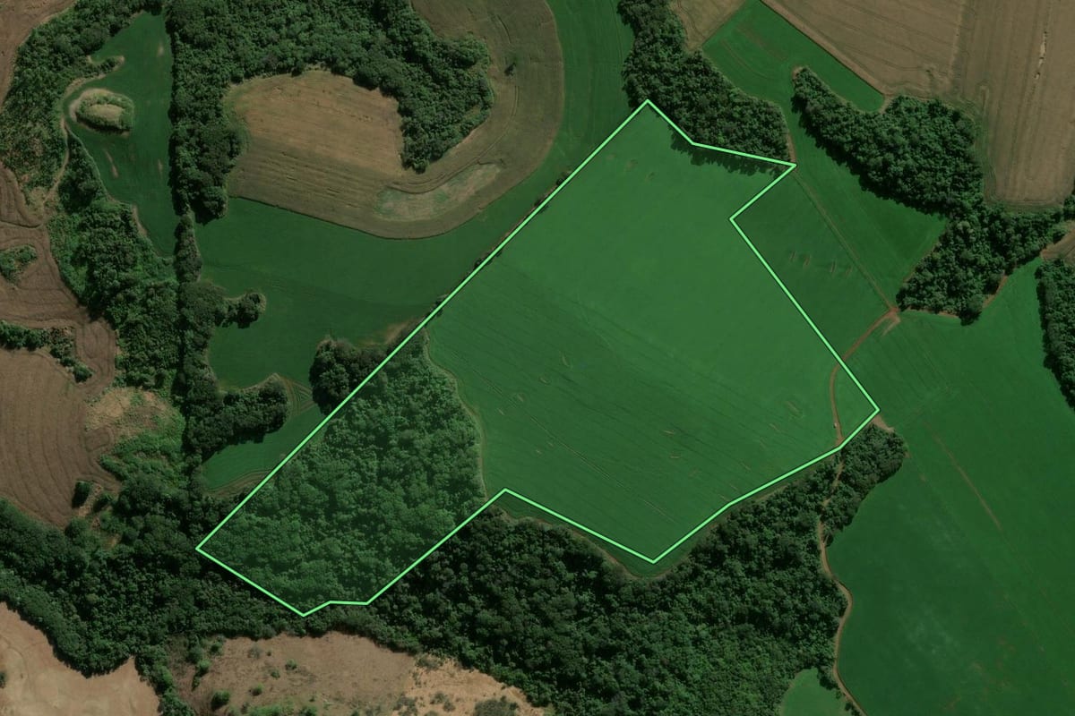 Imagem de satélite do imóvel rural em Marilândia do Sul (PR), com o contorno declarado no CAR desenhado por cima.