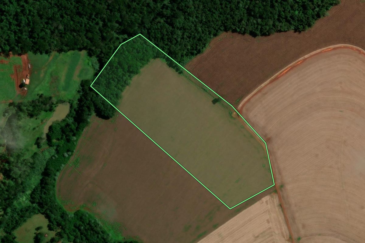 Imagem de satélite do imóvel rural em Marilândia do Sul (PR), com o contorno declarado no CAR desenhado por cima.