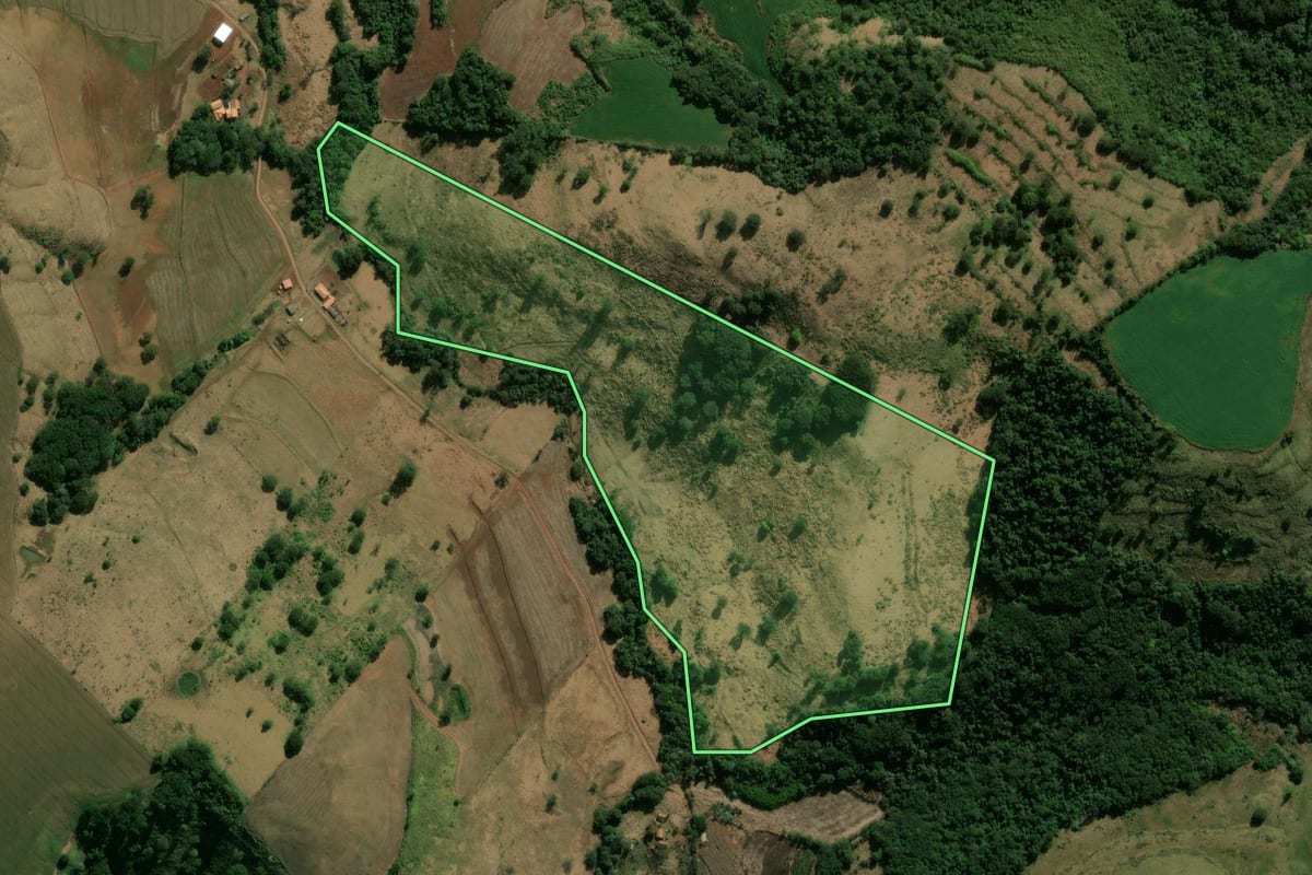 Imagem de satélite do imóvel rural em Marilândia do Sul (PR), com o contorno declarado no CAR desenhado por cima.