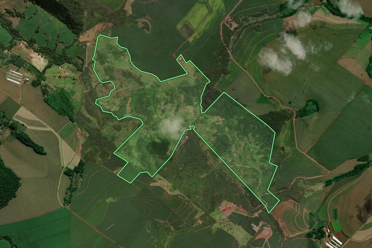 Imagem de satélite do imóvel rural em Marilândia do Sul (PR), com o contorno declarado no CAR desenhado por cima.