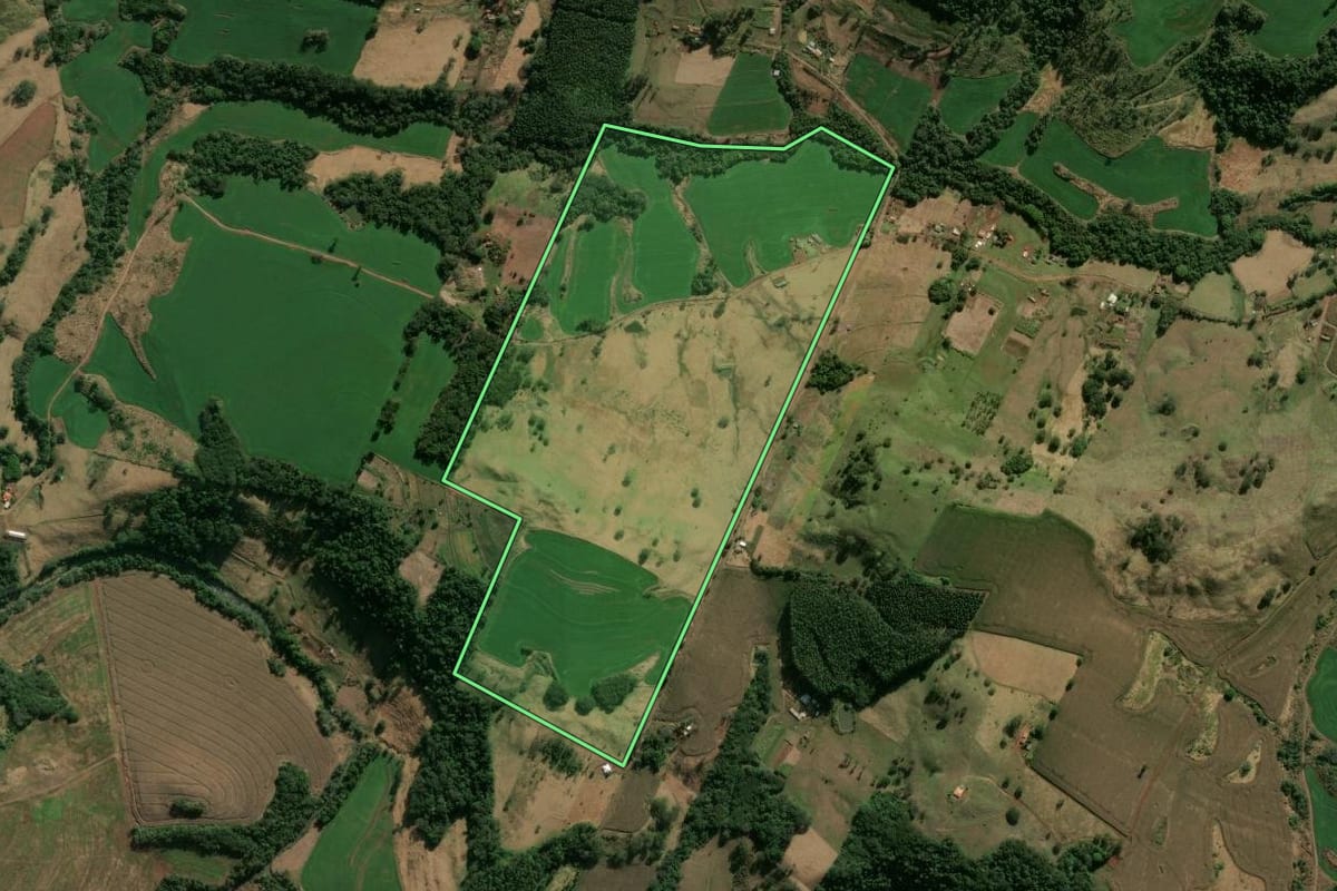 Imagem de satélite do imóvel rural em Marilândia do Sul (PR), com o contorno declarado no CAR desenhado por cima.
