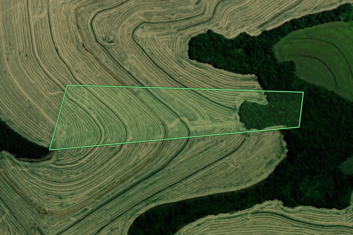 Imagem de satélite do imóvel rural em Marilândia do Sul (PR), com o contorno declarado no CAR desenhado por cima.