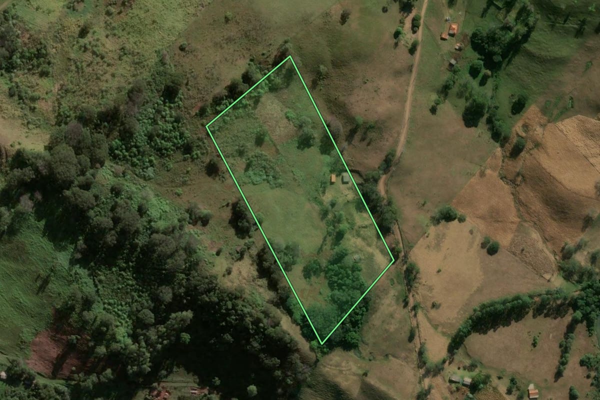 Imagem de satélite do imóvel rural em Marilândia do Sul (PR), com o contorno declarado no CAR desenhado por cima.
