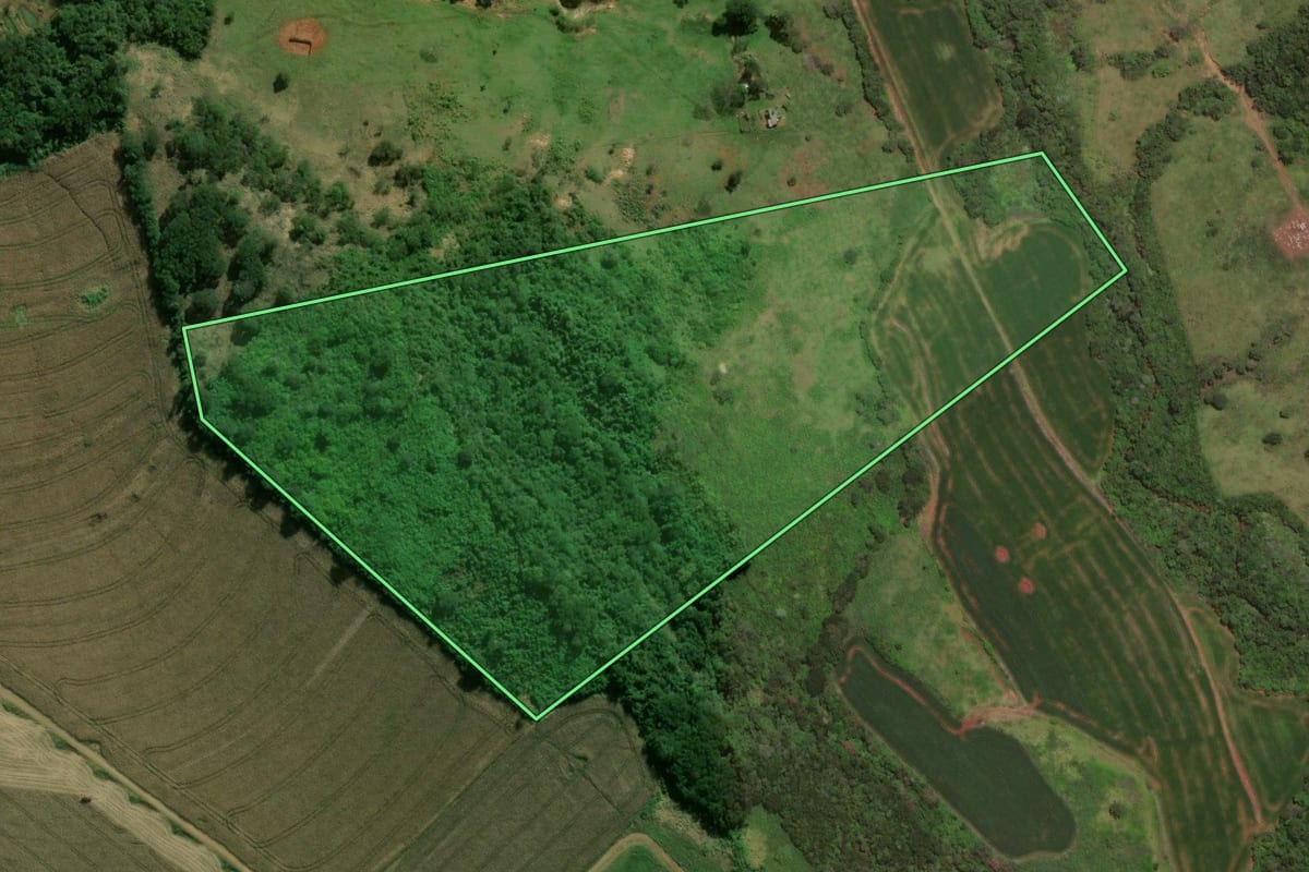 Imagem de satélite do imóvel rural em Marilândia do Sul (PR), com o contorno declarado no CAR desenhado por cima.