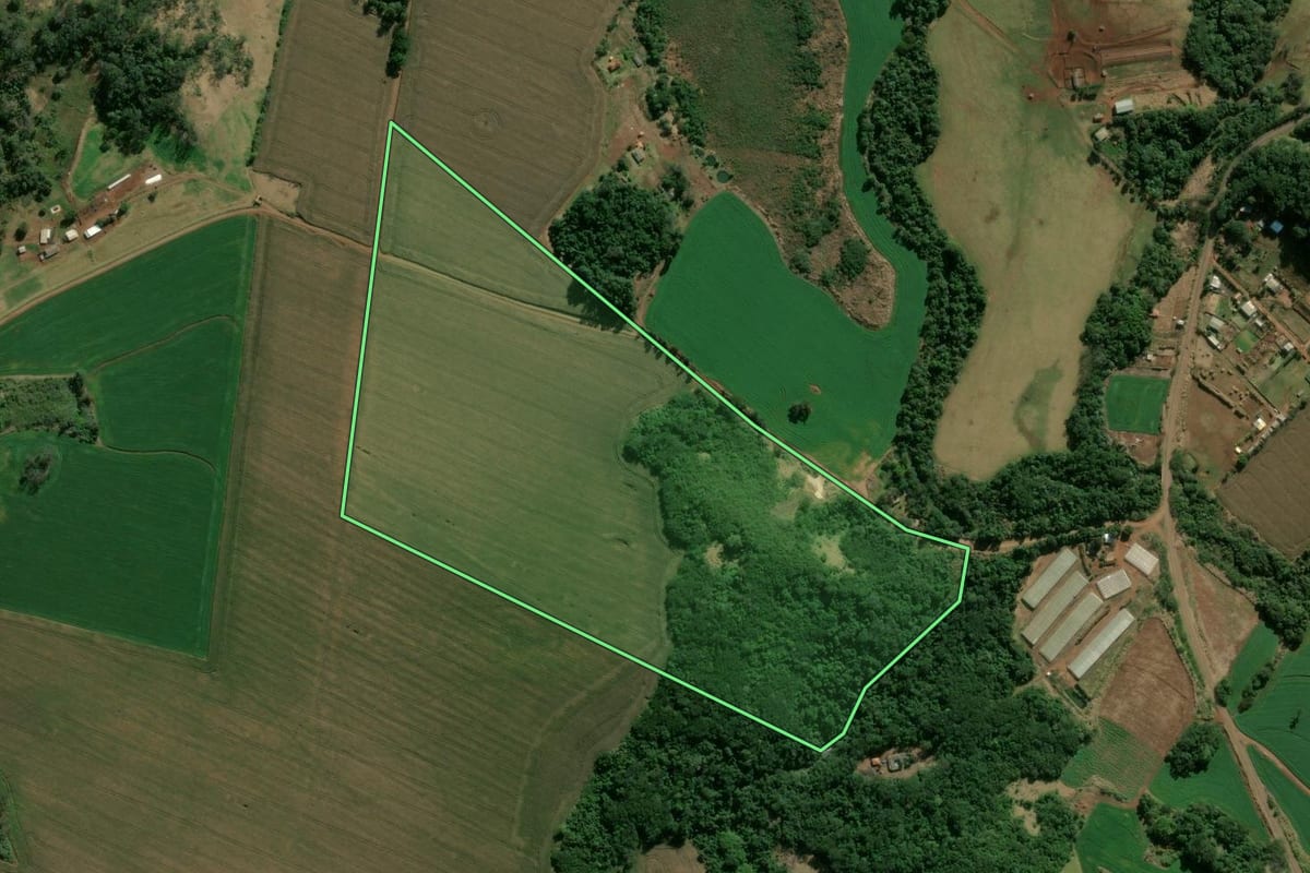 Imagem de satélite do imóvel rural em Marilândia do Sul (PR), com o contorno declarado no CAR desenhado por cima.