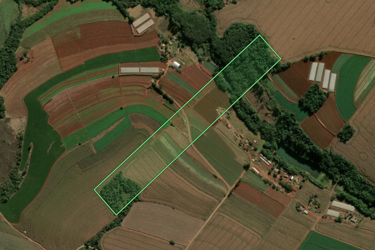 Imagem de satélite do imóvel rural em Marilândia do Sul (PR), com o contorno declarado no CAR desenhado por cima.