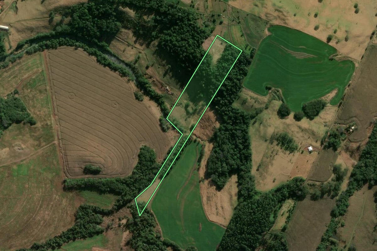 Imagem de satélite do imóvel rural em Marilândia do Sul (PR), com o contorno declarado no CAR desenhado por cima.