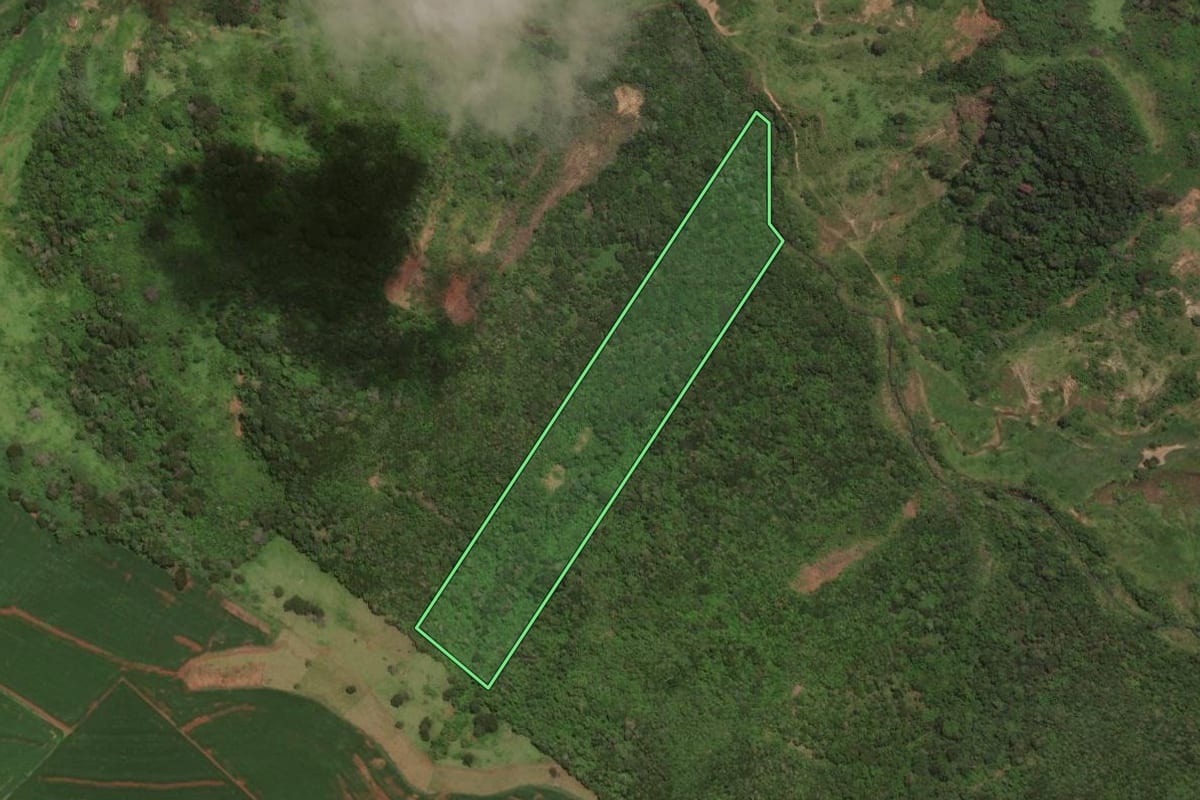 Imagem de satélite do imóvel rural em Marilândia do Sul (PR), com o contorno declarado no CAR desenhado por cima.