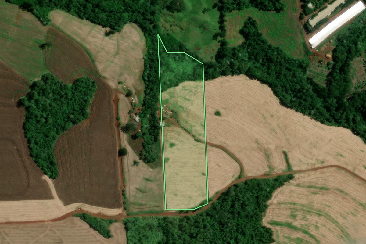 Imagem de satélite do imóvel rural em Marilândia do Sul (PR), com o contorno declarado no CAR desenhado por cima.