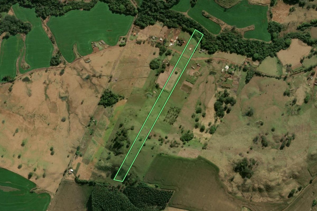 Imagem de satélite do imóvel rural em Marilândia do Sul (PR), com o contorno declarado no CAR desenhado por cima.