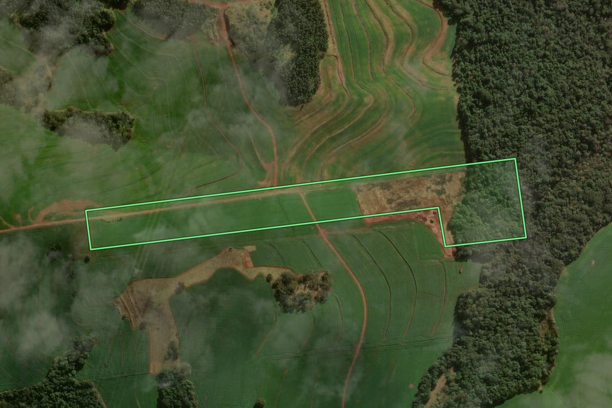 Imagem de satélite do imóvel rural em Marilândia do Sul (PR), com o contorno declarado no CAR desenhado por cima.