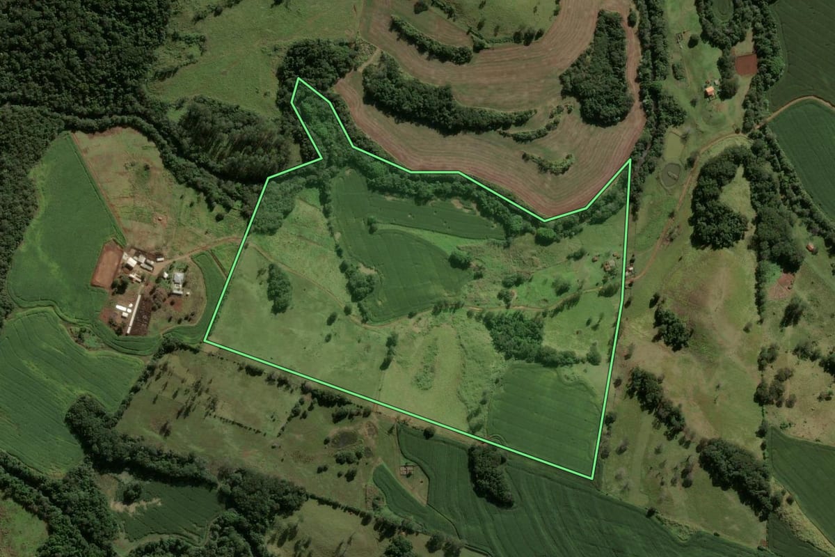 Imagem de satélite do imóvel rural em Marilândia do Sul (PR), com o contorno declarado no CAR desenhado por cima.