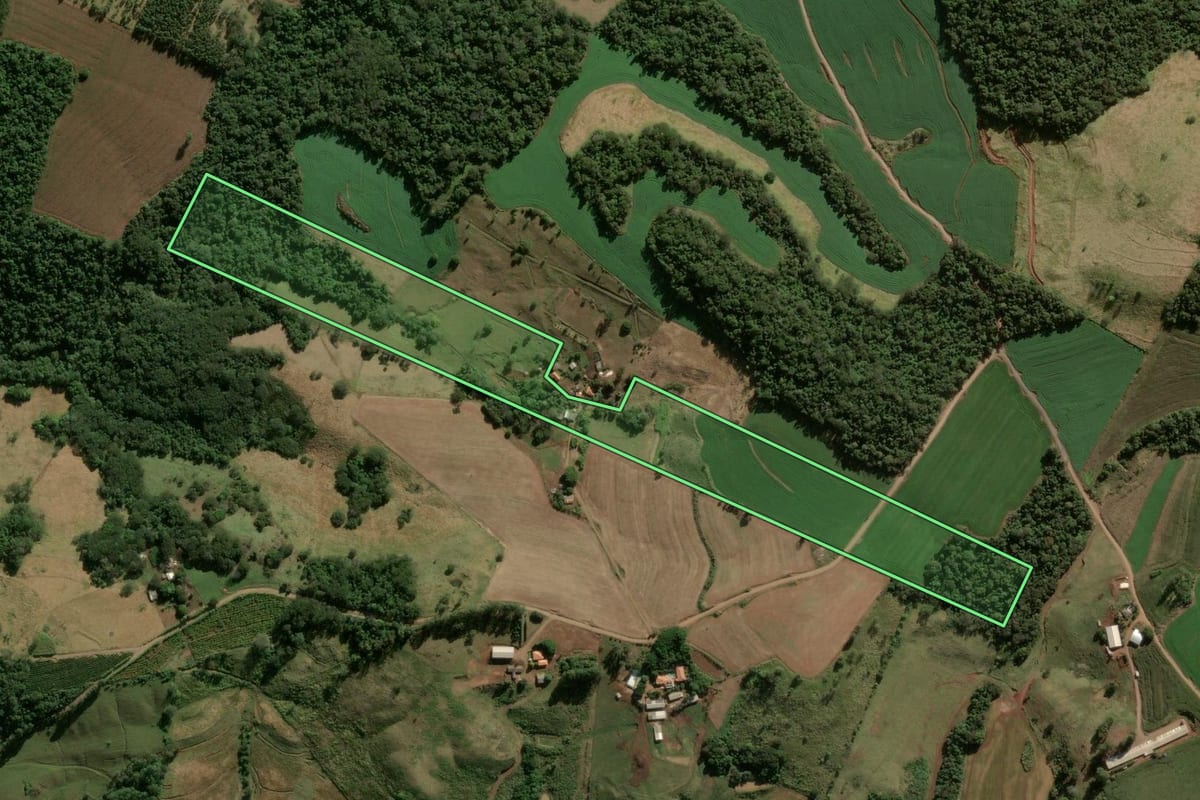 Imagem de satélite do imóvel rural em Marilândia do Sul (PR), com o contorno declarado no CAR desenhado por cima.