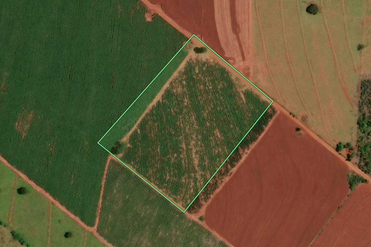 Imagem de satélite do imóvel rural em Marilena (PR), com o contorno declarado no CAR desenhado por cima.