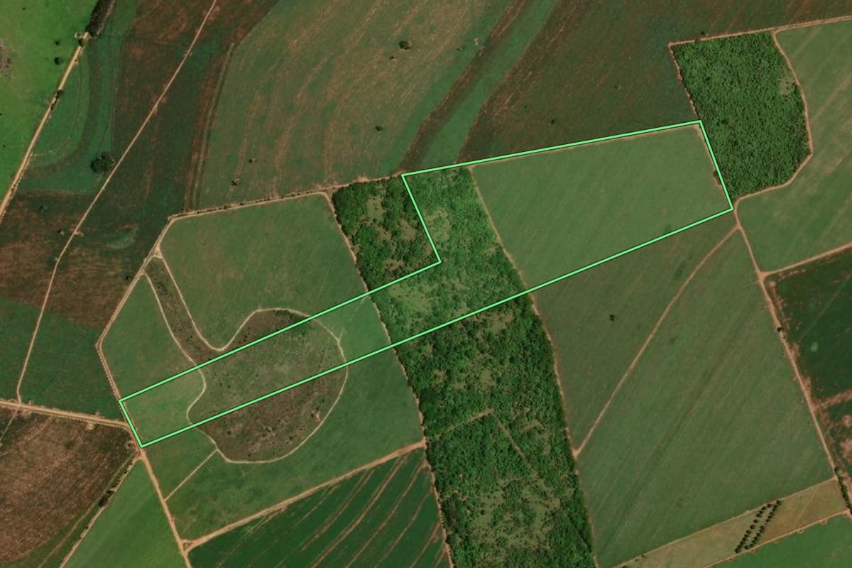 Imagem de satélite do imóvel rural em Marilena (PR), com o contorno declarado no CAR desenhado por cima.