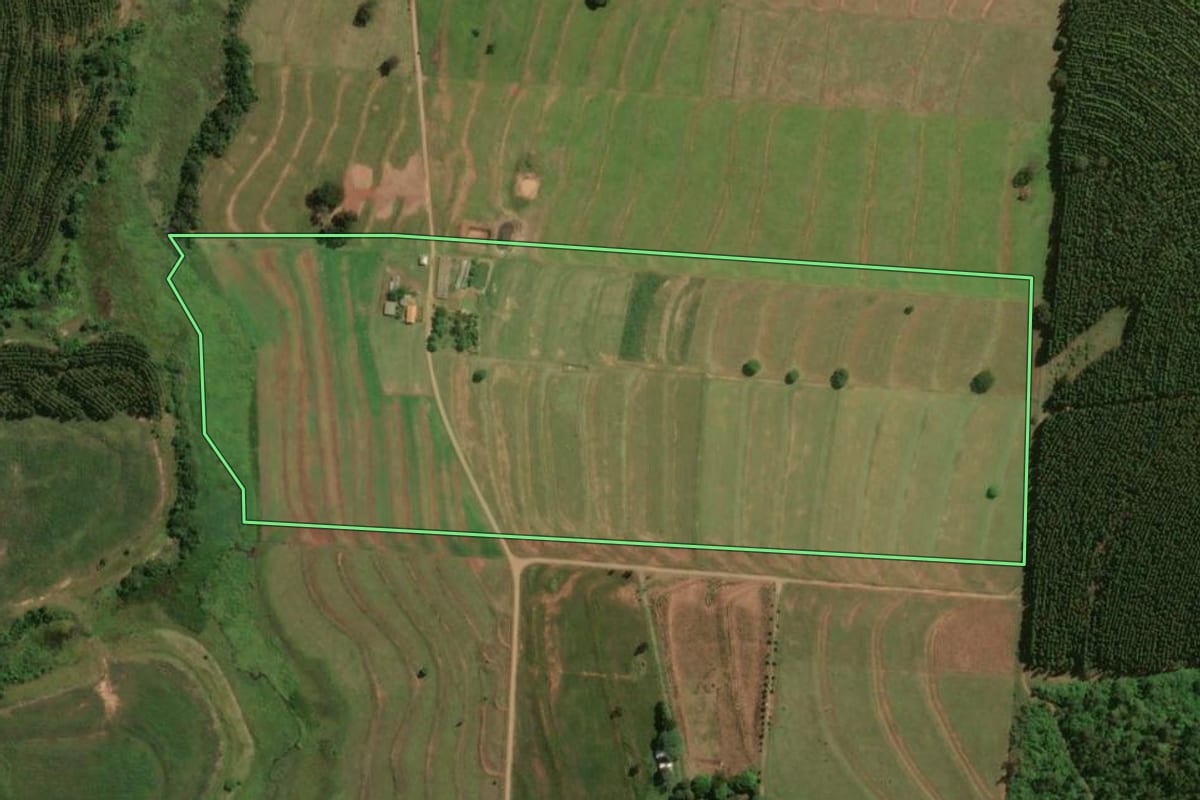 Imagem de satélite do imóvel rural em Mariluz (PR), com o contorno declarado no CAR desenhado por cima.