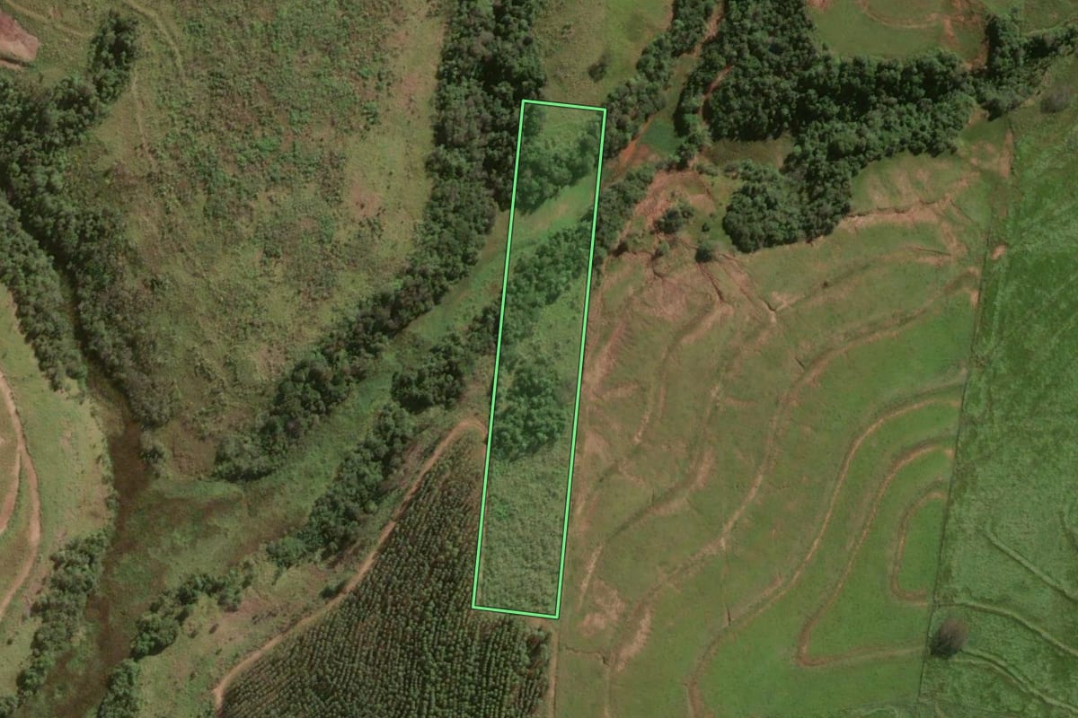 Imagem de satélite do imóvel rural em Mariluz (PR), com o contorno declarado no CAR desenhado por cima.