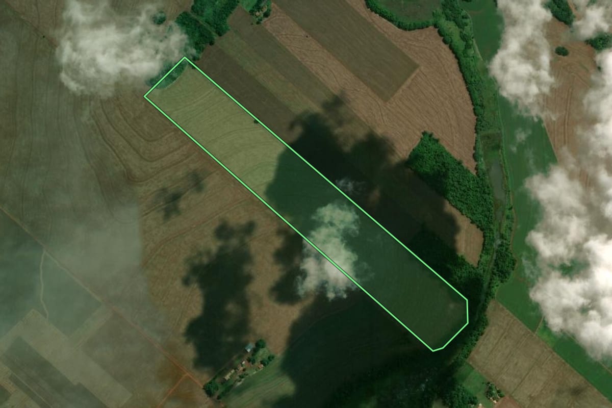 Imagem de satélite do imóvel rural em Maringá (PR), com o contorno declarado no CAR desenhado por cima.