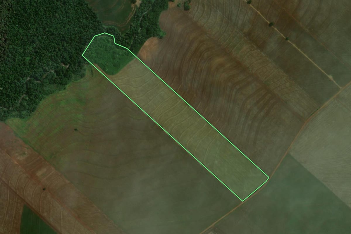 Imagem de satélite do imóvel rural em Maringá (PR), com o contorno declarado no CAR desenhado por cima.
