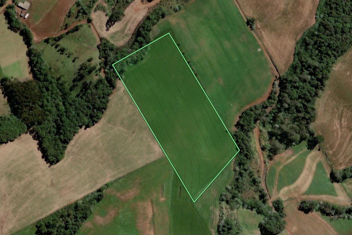 Imagem de satélite do imóvel rural em Mariópolis (PR), com o contorno declarado no CAR desenhado por cima.