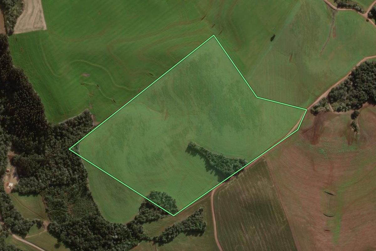 Imagem de satélite do imóvel rural em Mariópolis (PR), com o contorno declarado no CAR desenhado por cima.