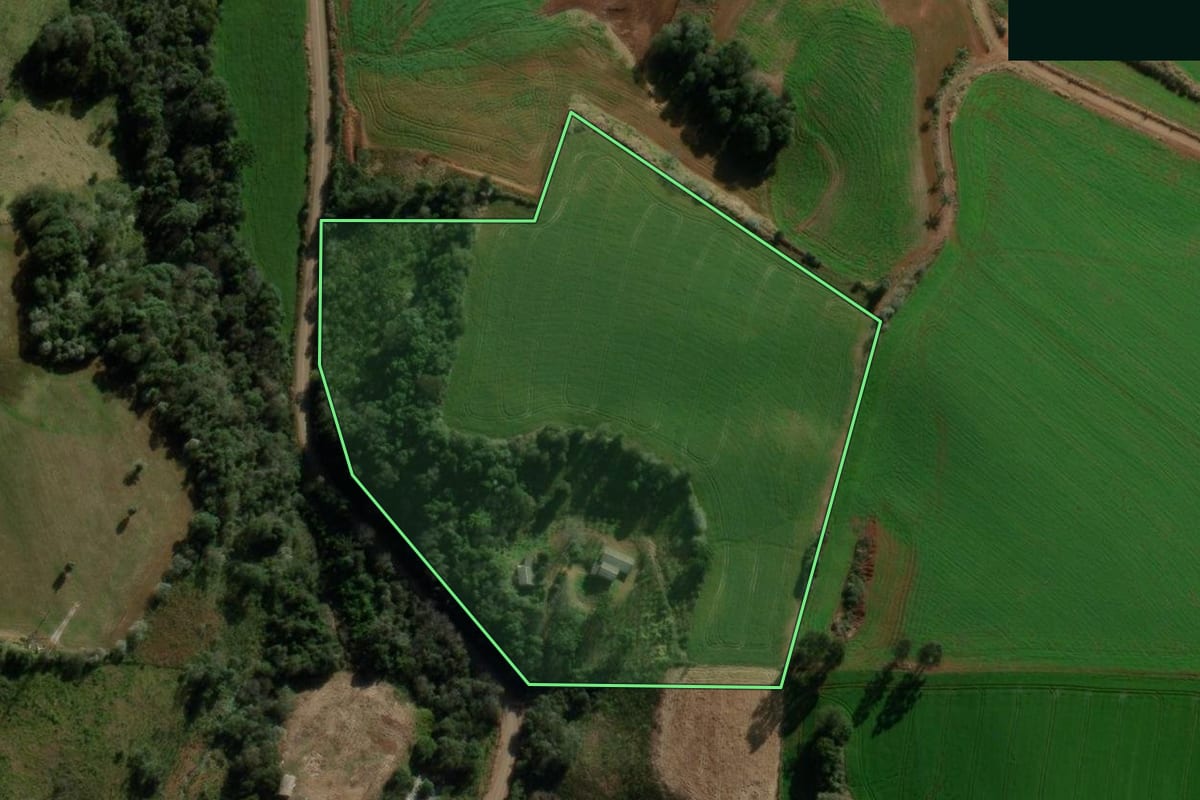 Imagem de satélite do imóvel rural em Mariópolis (PR), com o contorno declarado no CAR desenhado por cima.