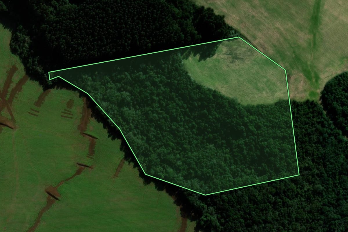 Imagem de satélite do imóvel rural em Mariópolis (PR), com o contorno declarado no CAR desenhado por cima.
