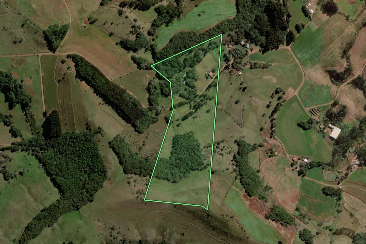 Imagem de satélite do imóvel rural em Mariópolis (PR), com o contorno declarado no CAR desenhado por cima.