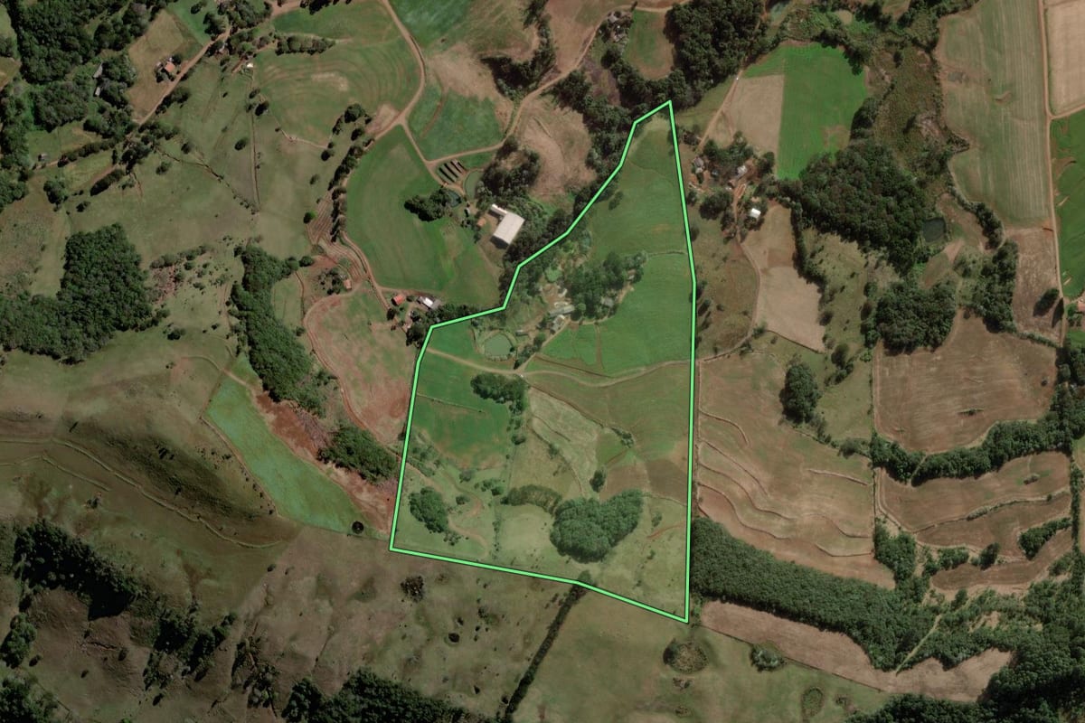 Imagem de satélite do imóvel rural em Mariópolis (PR), com o contorno declarado no CAR desenhado por cima.
