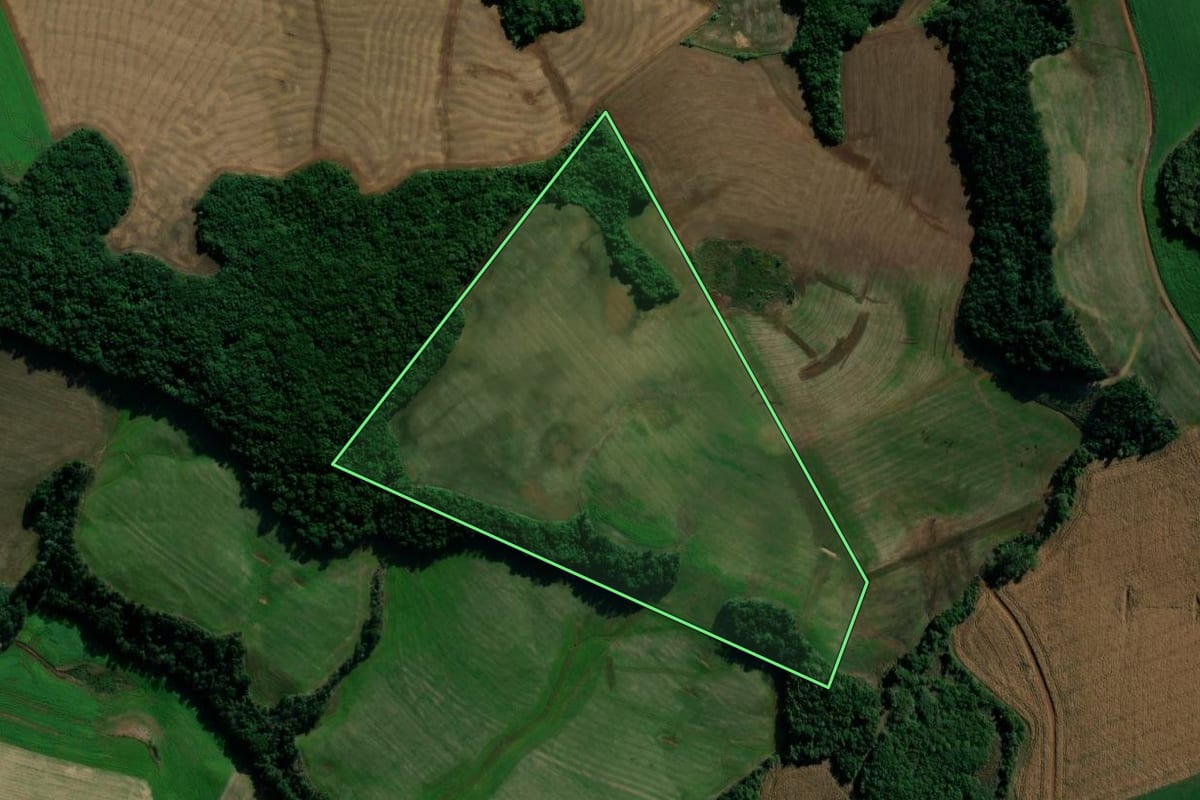 Imagem de satélite do imóvel rural em Mariópolis (PR), com o contorno declarado no CAR desenhado por cima.