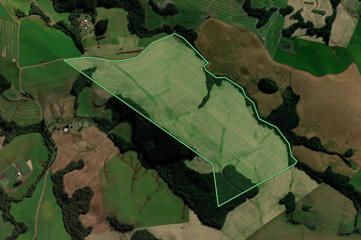 Imagem de satélite do imóvel rural em Mariópolis (PR), com o contorno declarado no CAR desenhado por cima.