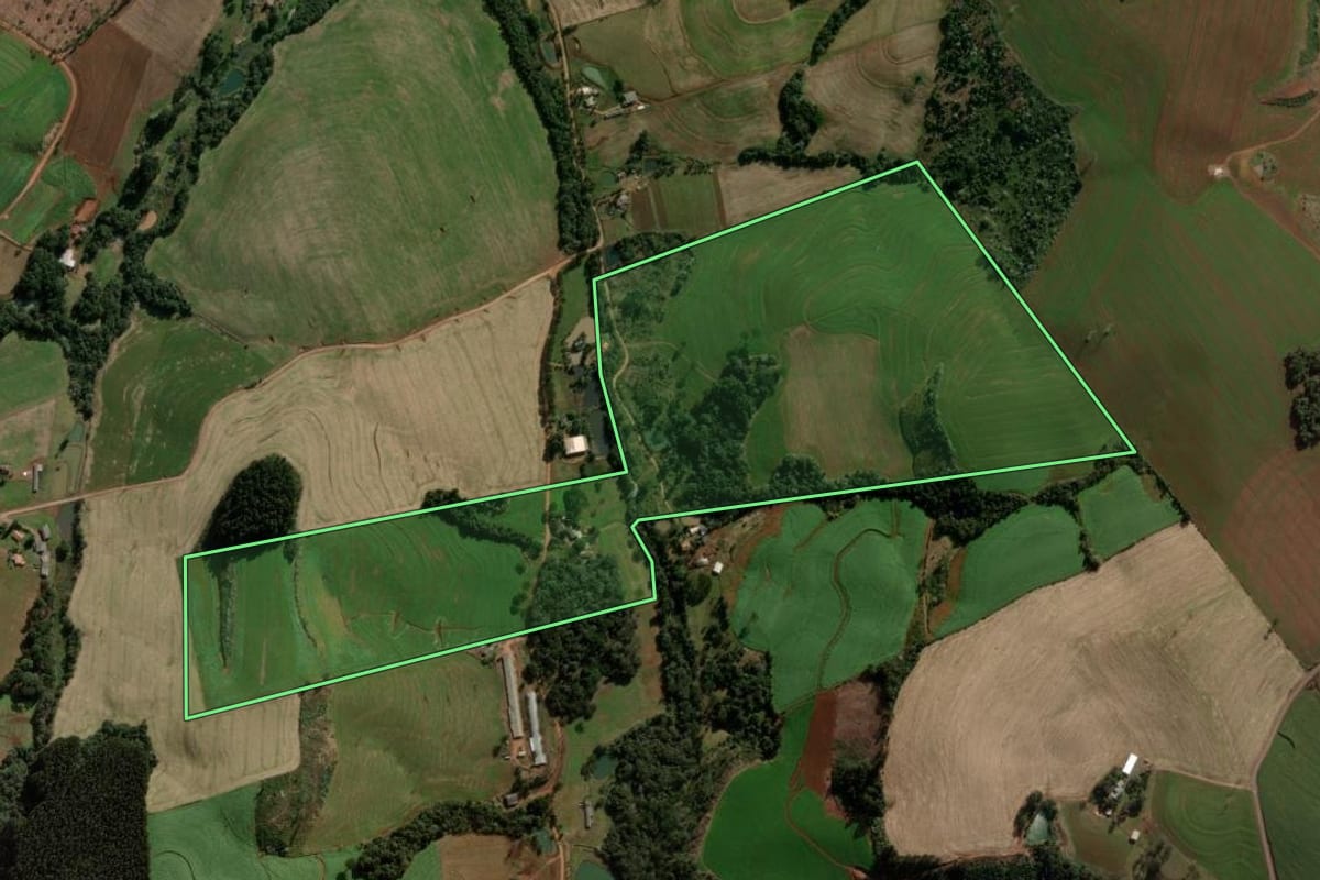 Imagem de satélite do imóvel rural em Mariópolis (PR), com o contorno declarado no CAR desenhado por cima.