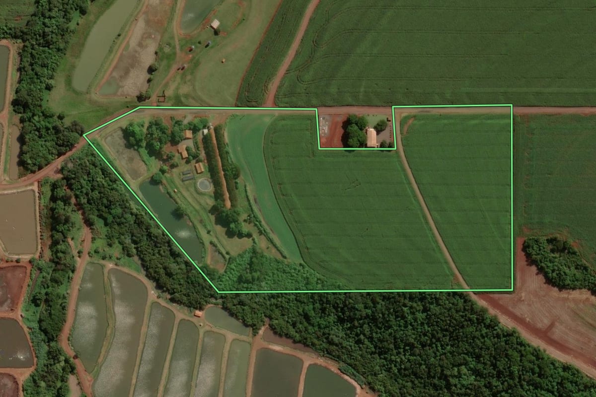 Imagem de satélite do imóvel rural em Maripá (PR), com o contorno declarado no CAR desenhado por cima.