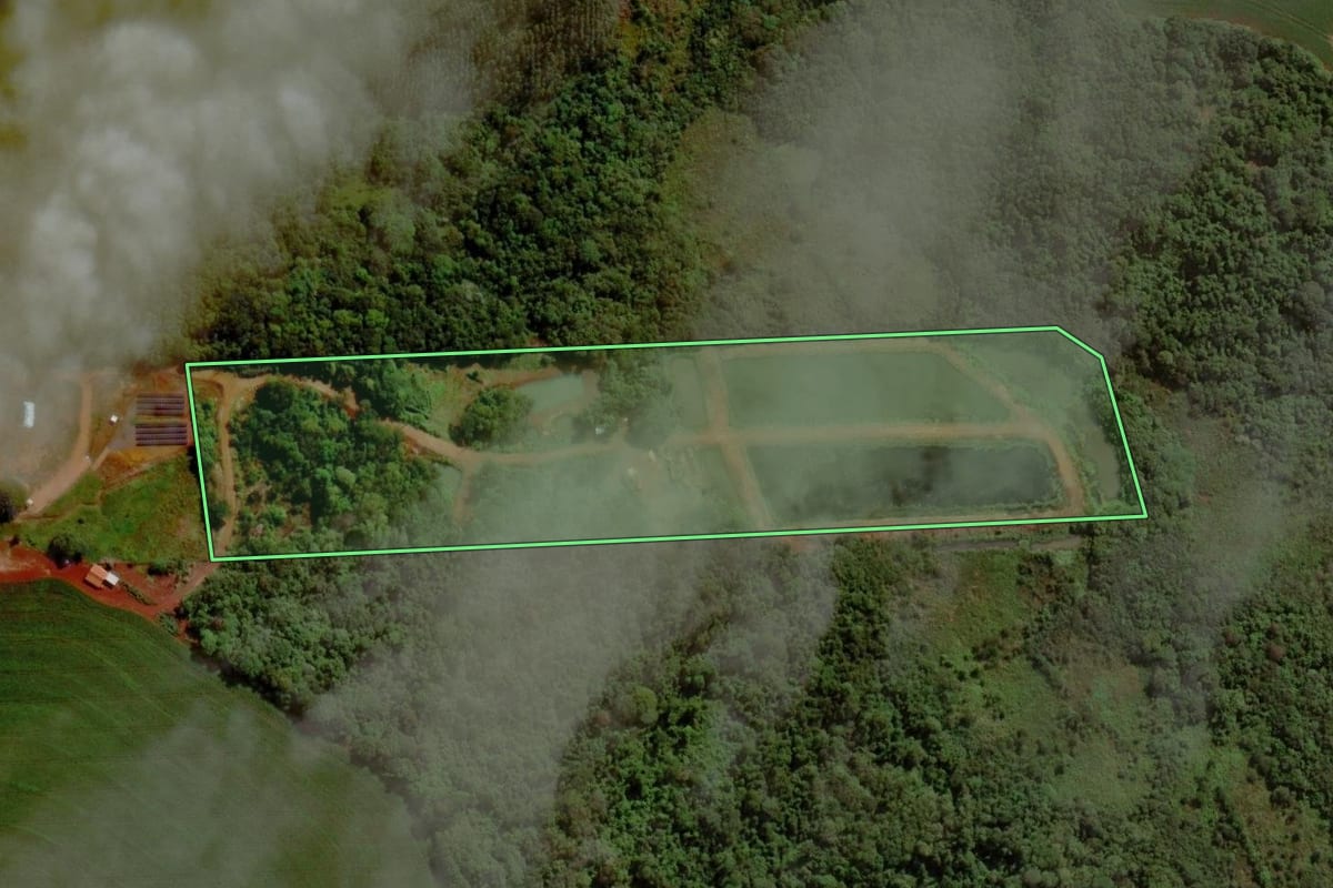 Imagem de satélite do imóvel rural em Maripá (PR), com o contorno declarado no CAR desenhado por cima.