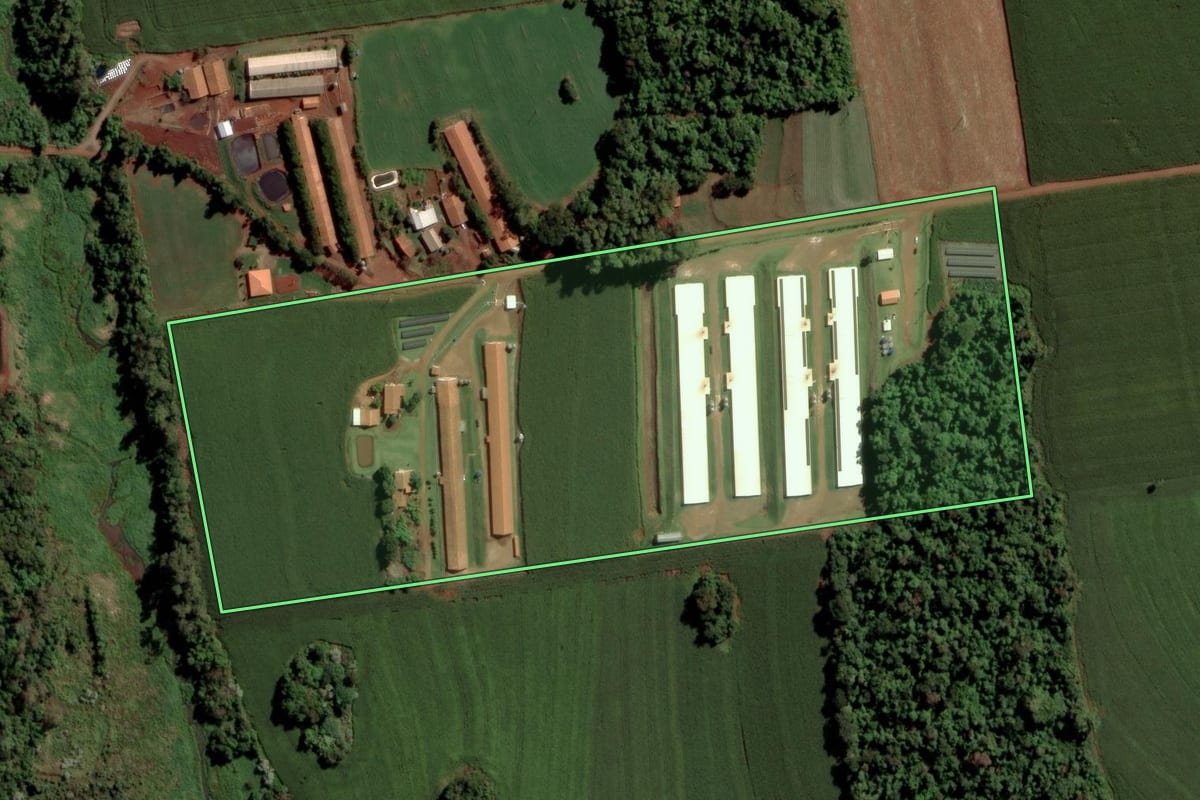 Imagem de satélite do imóvel rural em Maripá (PR), com o contorno declarado no CAR desenhado por cima.