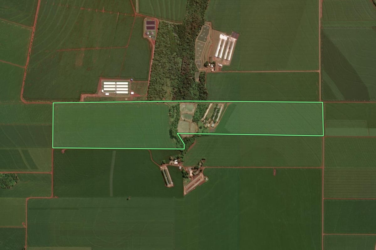 Imagem de satélite do imóvel rural em Maripá (PR), com o contorno declarado no CAR desenhado por cima.