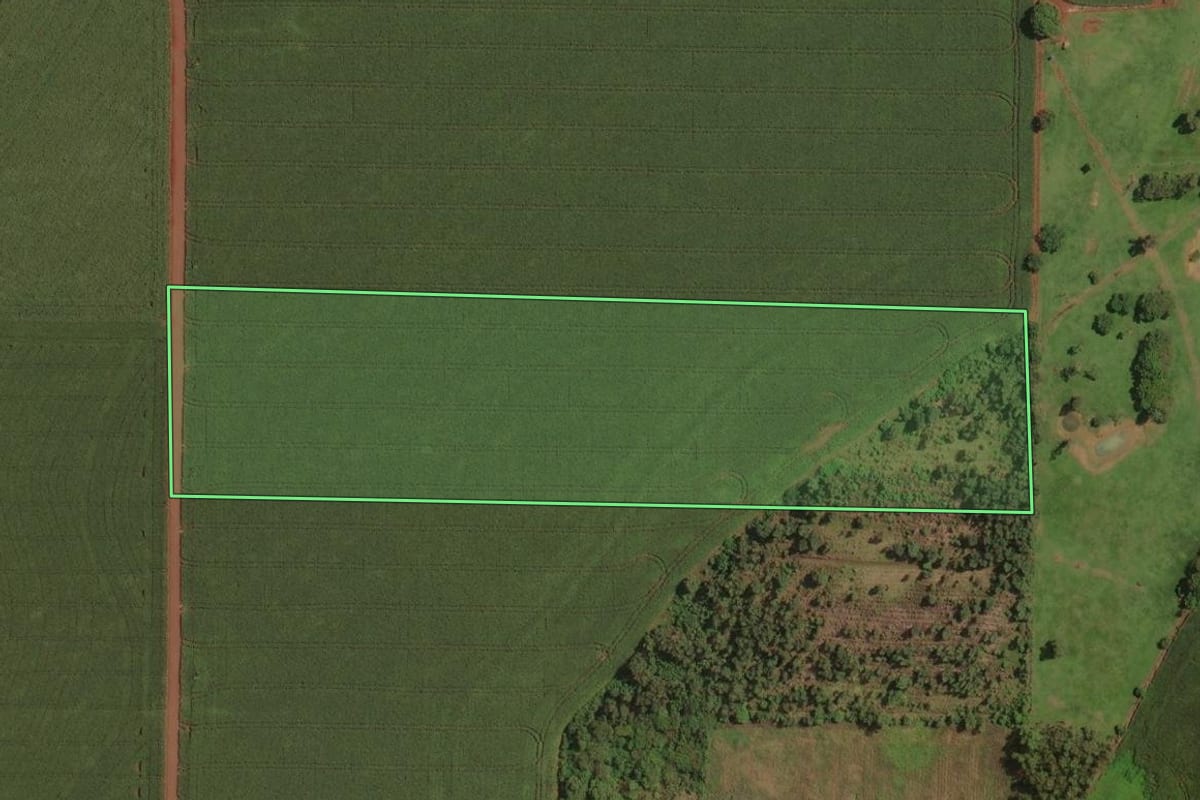 Imagem de satélite do imóvel rural em Maripá (PR), com o contorno declarado no CAR desenhado por cima.