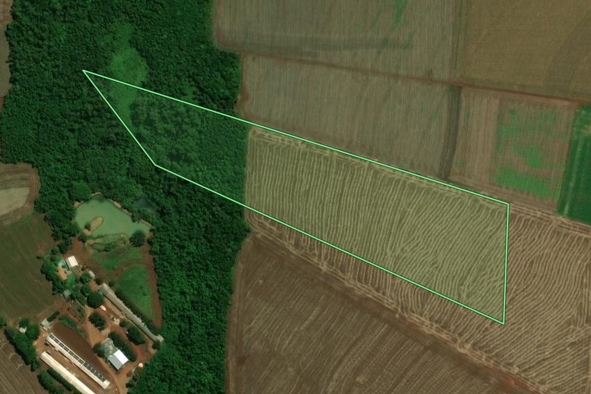 Imagem de satélite do imóvel rural em Maripá (PR), com o contorno declarado no CAR desenhado por cima.