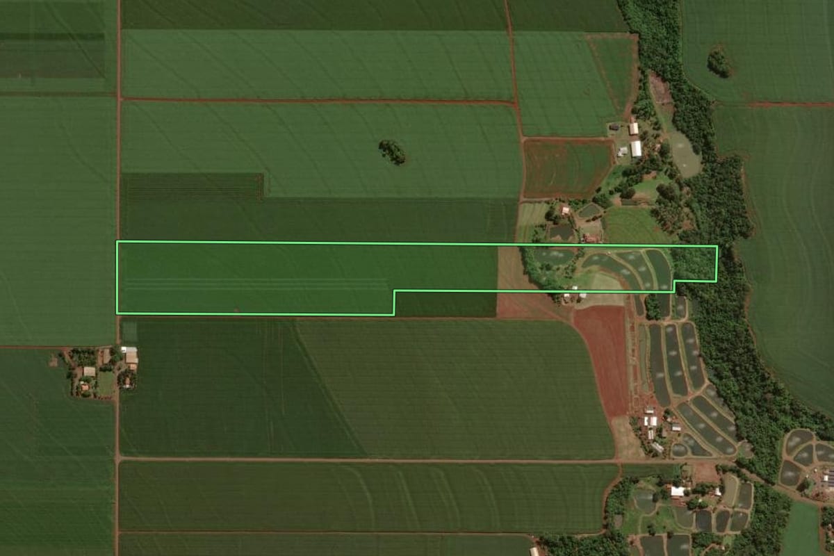 Imagem de satélite do imóvel rural em Maripá (PR), com o contorno declarado no CAR desenhado por cima.