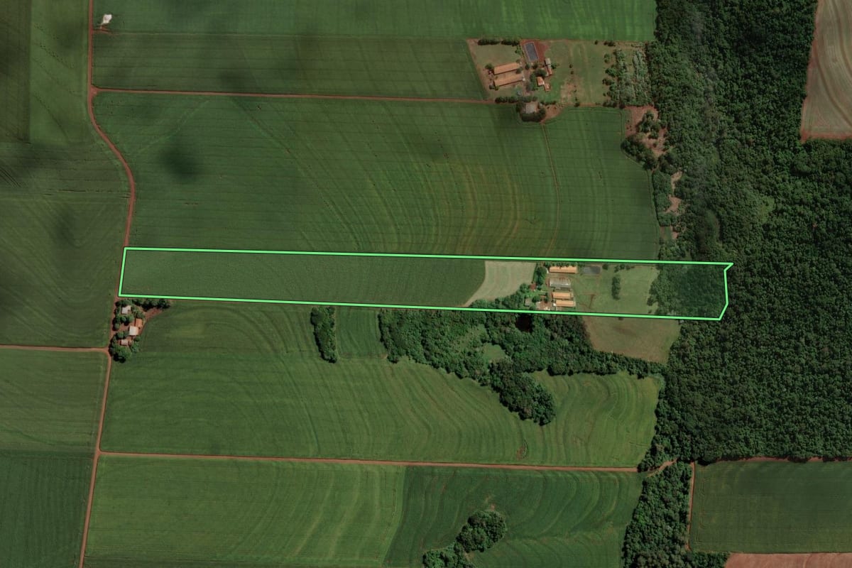 Imagem de satélite do imóvel rural em Maripá (PR), com o contorno declarado no CAR desenhado por cima.