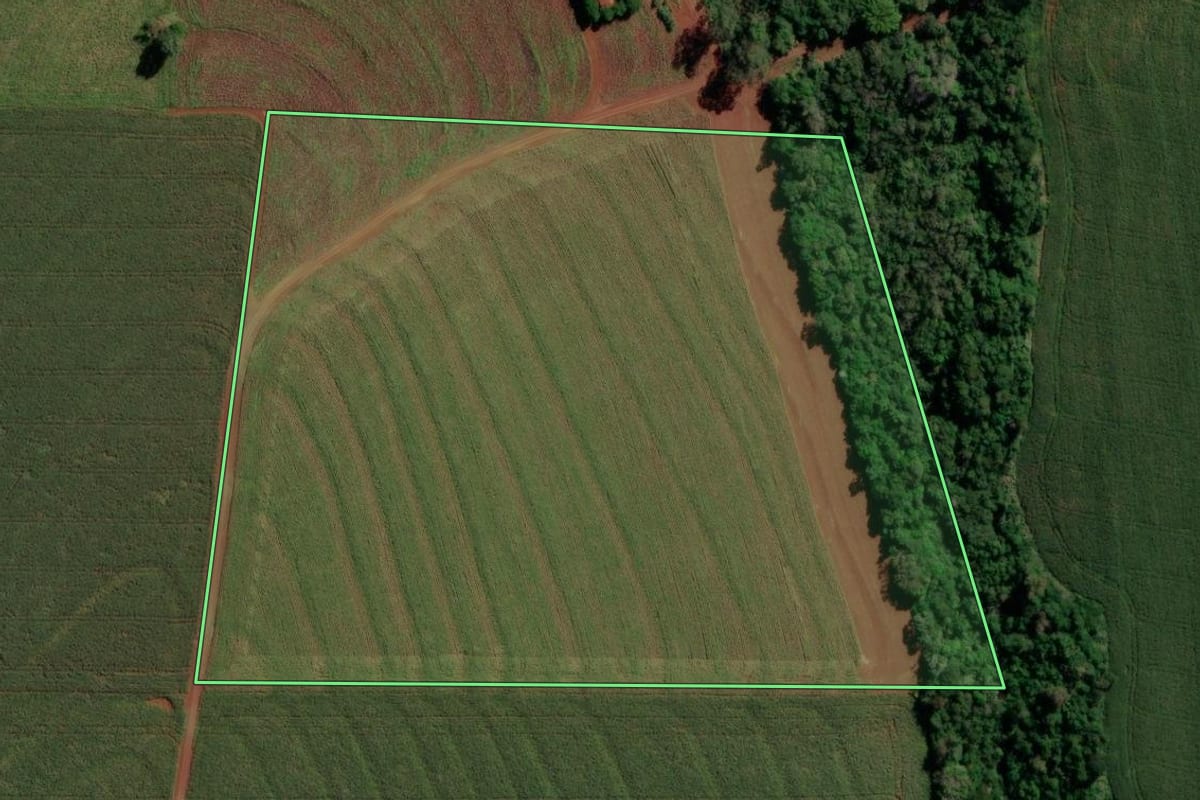 Imagem de satélite do imóvel rural em Maripá (PR), com o contorno declarado no CAR desenhado por cima.